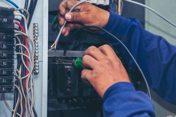 Best Electric Panel Repair  in Lake Placid, FL